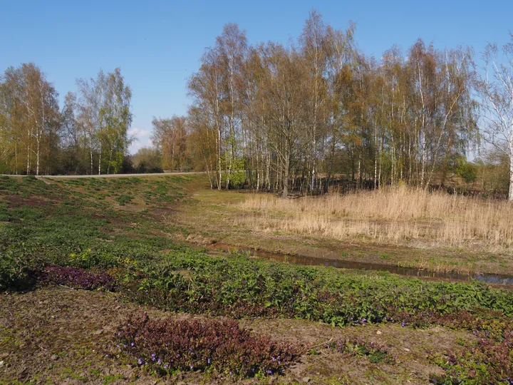 Kalkense Meersen (België)